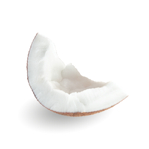 Coconut