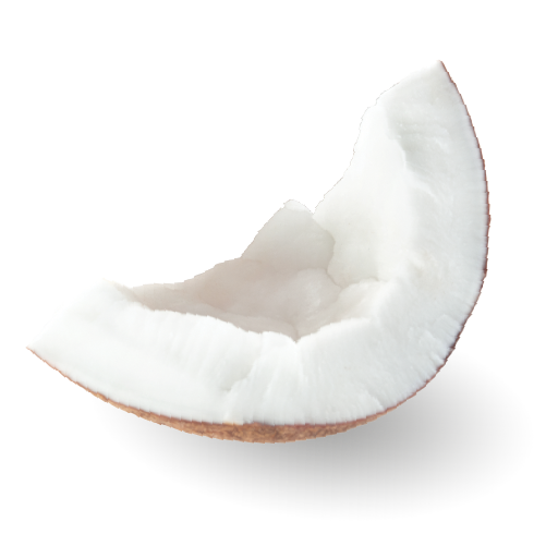 Coconut